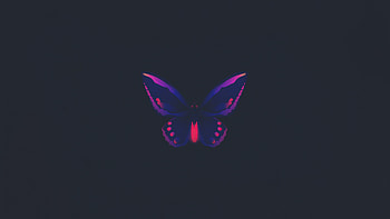 Butterfly Minimal , butterfly, minimalism, minimalist, artist, artwork, digital-art HD wallpaper