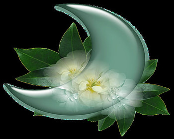 element half moon and flowers, half moon, abstract, fantasy, element, floral, flowers HD wallpaper