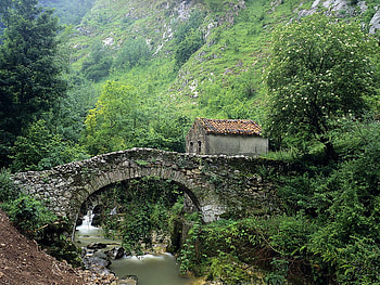 For My Friend Alba-25, spain, bridge, river, asturias HD wallpaper