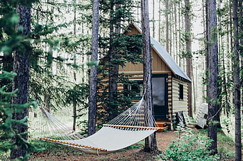 Nature, Forest, Structure, Hammock HD wallpaper