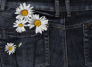 daisies, graphy, beautiful, jeans, nice, daisy, flower, pants, cool, flowers HD wallpaper