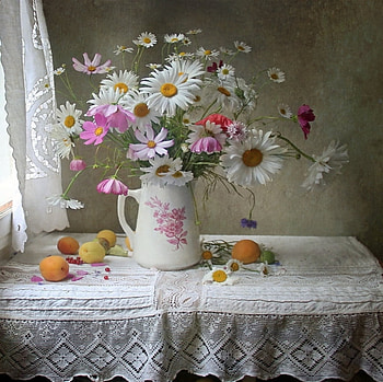❊ ❊, Daisies, Cosmos, Spring, Vase HD wallpaper