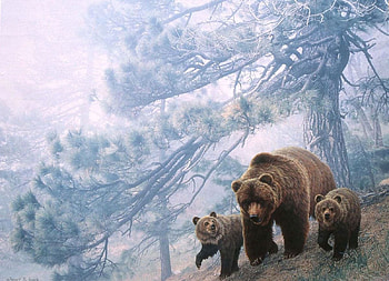 Bears, pictura, robert r copple, art, urs, cub, cute, bear, painting, family, forest HD wallpaper
