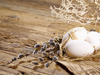 Easter Time, wood, easter, spring, eggs, willow twig HD wallpaper