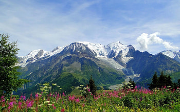 Nature, Flowers, Mountains, Summer, Vertex, Alps, Freshness, Tops HD wallpaper
