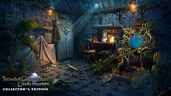 Stranded Dreamscapes 3 - Deadly Moonlight04, hidden object, fun, video games, cool, puzzle HD wallpaper