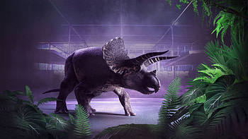 Triceratops, Fate of the dinosaurs, Melbourne museum, Extinction event HD wallpaper