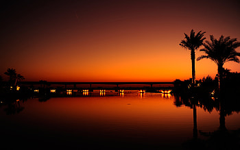 Dubai Palm Trees Sunset Reflection, dubai, palm, trees, world, reflection, world, graphy HD wallpaper
