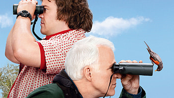 The Big Year, Steve Martin HD wallpaper