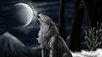 Calling the moon, night, winter, white, black, wolf, dark, moon, fantasy, luna, luminos HD wallpaper