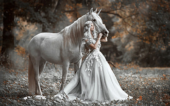 Unicorn, white, lady, pretty HD wallpaper
