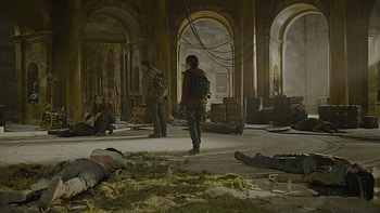The Last Of Us (2023), TV Show, The Last Of Us HD wallpaper
