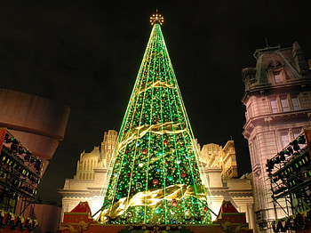 .Gorgeous Xmas Tree., celebrations, holidays, winter holidays, attractions in dreams, beautiful, creative pre-made, love four seasons, Christmas, xmas and new year, lovely, christmas tree HD wallpaper