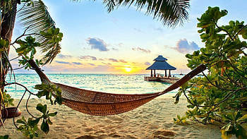Zanzibar Tour Airways, Aerial adventure, Island exploration, Sky-high views HD wallpaper