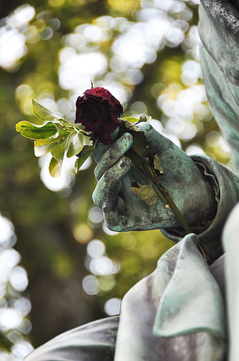 Flowers, Glare, Hand, Rose Flower, Rose, Blur, Smooth, Sculpture HD phone wallpaper