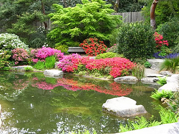 Garden Pond, trees, garden, water, pond HD wallpaper
