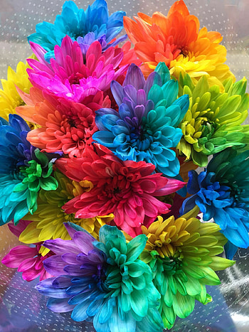 Chrysanthemums, Flower Bouquet HD phone wallpaper