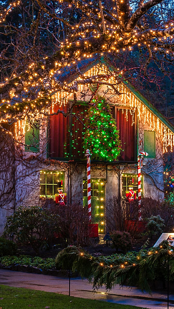 Christmas Lightings, House Decoration HD phone wallpaper