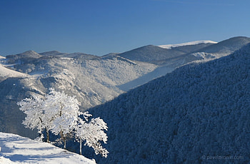 Winter, snow, bulgaria, vratza, tree, mountain HD wallpaper