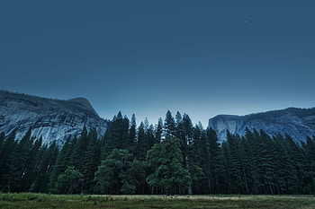 National Park, Nature, Trees, Mountains, Usa, Forest, United States, California State, California, Yosemite Valley HD wallpaper