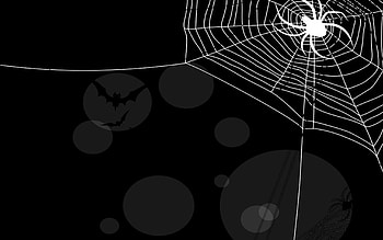 Scary Spider HD wallpaper