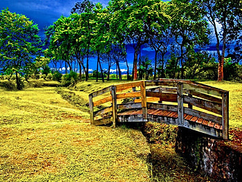 Bridge over the small stream water, blue, river, sea, meadow, small, summer, field, yellow, bridge, trees, nature, stream HD wallpaper