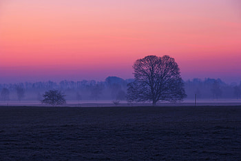 Sunrise Sanctuary , sunrise, nature HD wallpaper