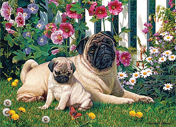 PUG FAMILY, FAMILY, PUPPY, PUG, DOG HD wallpaper