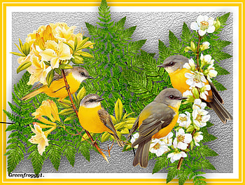 BIRD COLLAGE, ART, COLLAGE, ABSTRACT, BIRD HD wallpaper