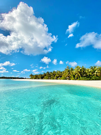 Beach, Nature, Sea, Palms, Summer, Tropics HD phone wallpaper