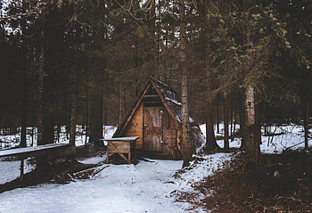 Nature, Trees, Snow, Forest, Structure HD wallpaper