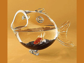 Fish Jar, cool HD wallpaper