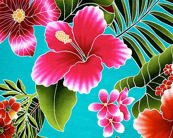 Hibiscus, blue, exotic, paper, summer, pink, flower, green, texture, pattern HD wallpaper