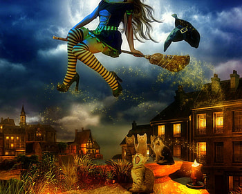 ~Halloween Funny~, fun, cats, cute, weird things people wear, digital art, creative pre-made, witch, pumpkins, love four seasons, halloween, fantasy, manipulation, candles, lovely HD wallpaper