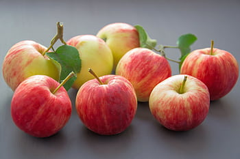 Vibrant red and yellow apples showcasing freshness and harvest's bounty. HD wallpaper