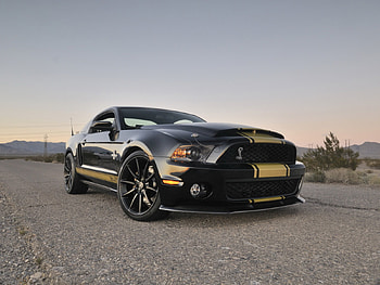 Transport, Auto, Mustang HD wallpaper