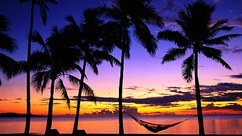 Tropical Sunset (37 ) HD wallpaper
