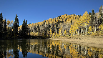 A Lake In The Wasatch Mountains Of Utah, nature, mountains, tree, trees, lake, river, sky HD wallpaper