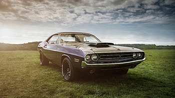 Dodge challenger, muscle car, landscape HD wallpaper