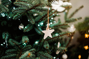 Holidays, New Year, Christmas, Christmas Tree, Decoration, Star HD wallpaper