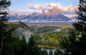 Nature, Rivers, Trees, Mountains, Fog, Branches HD wallpaper