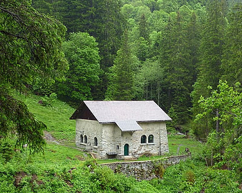 Rosenlaui Hut, trees, grass, forest, hut HD wallpaper