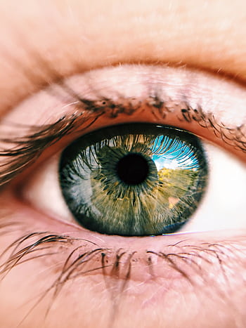 Detailed close-up of a human eye showing green iris and reflection. HD phone wallpaper