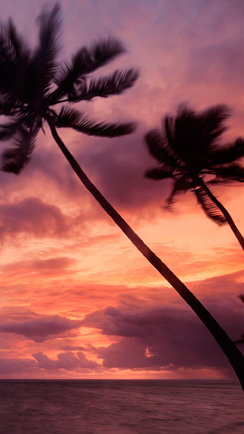 Punta Cana , , Dominican Republic, Purple sky HD phone wallpaper