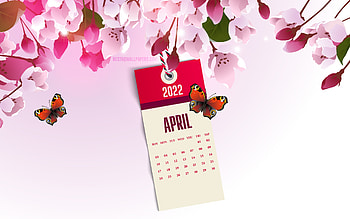 2022 April Calendar, , pink spring background, pink spring flowers, 2022 spring calendars, April, spring flowering, April 2022 Calendar HD wallpaper