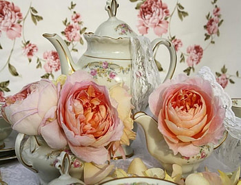 Cup of Rosy Tea, white, roses, floral, suger bowl, lace, milk jug, peachy, pretty, teapot HD wallpaper