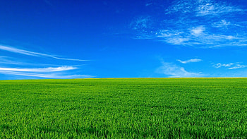 Nature , , , Background HD wallpaper