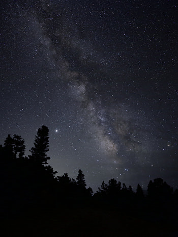 Trees, Stars, Dark, Silhouette, Starry Sky, Nebula HD phone wallpaper