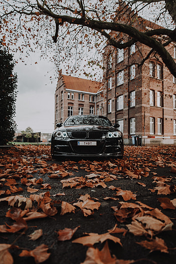 Bmw, Autumn, Cars, Bmw M3, Car, Front View HD phone wallpaper