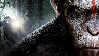 Dawn of the Planet of the Apes, Dawn of the Planet of the Apes, Planet of the Apes HD wallpaper